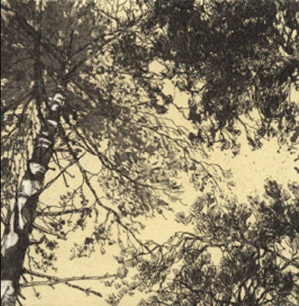 - a , Print by Chrissy Norman, measuring 10 x 10 cm (H x W) framed at 31 x 30 cm £115